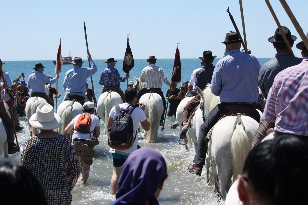 Gardians de Camargue a cavallo nel mare