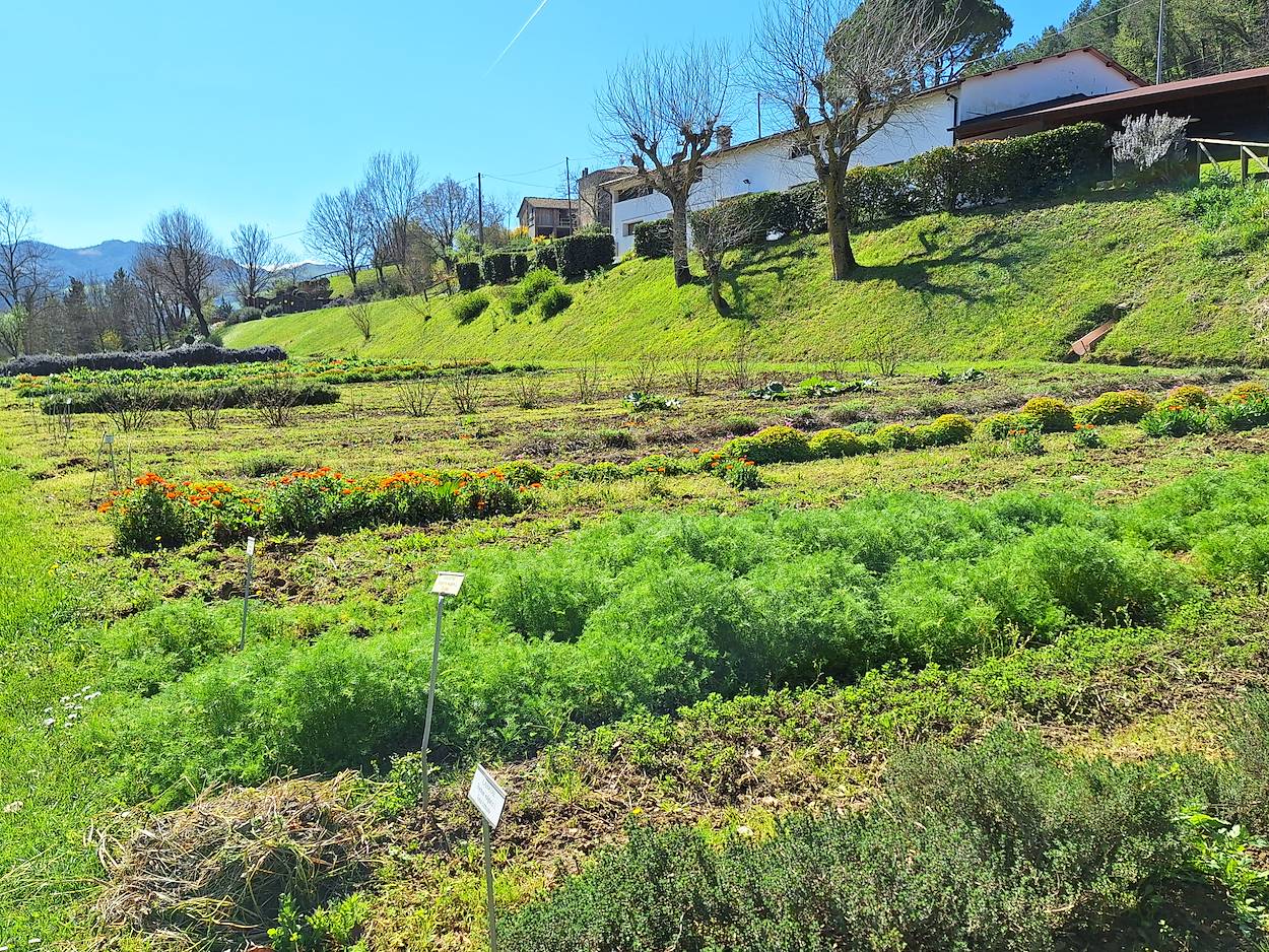 Il Giardino delle erbe di Casola Valsenio